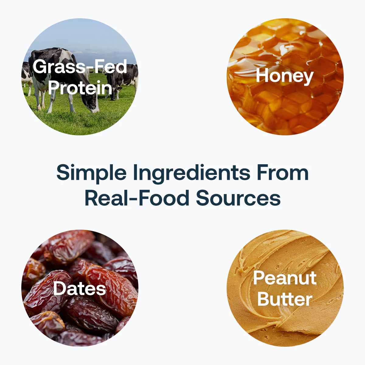 Grass-Fed Protein+ Bars - Image 17