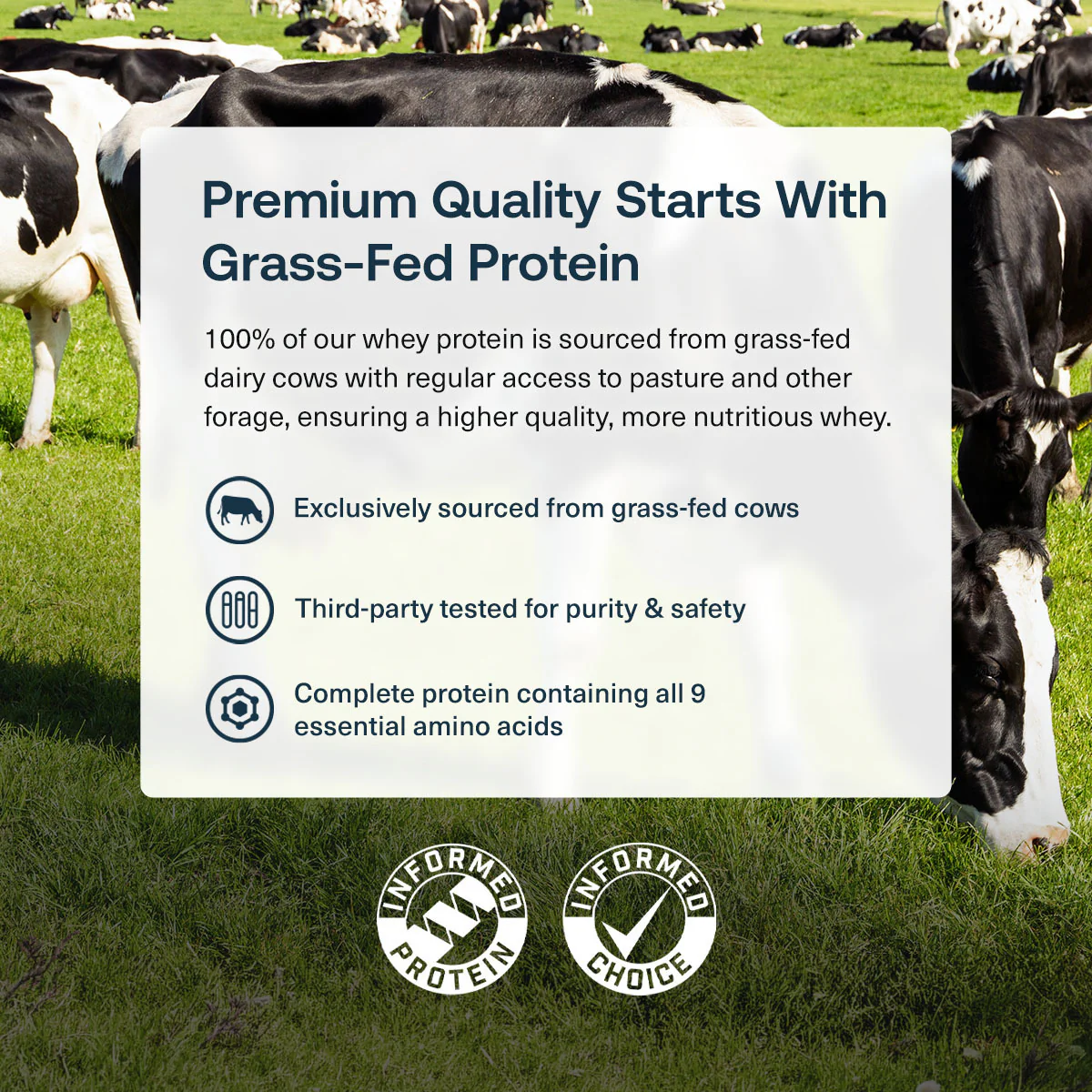 Grass-Fed Whey Protein Isolate - Image 56